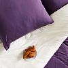 Однотонное постельное белье с простыней на резинке 180x200 Спелый баклажан, трикотаж, Евро стандарт фото
