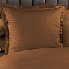 Однотонное постельное белье Янтарь, Сатин, 2 спальное фото