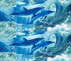 Постельное белье Вафельное полотенце «Дельфинарий 1» (100х150) фото